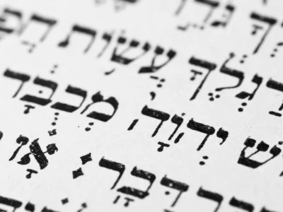 The Reason Why (It's Too Jewish)