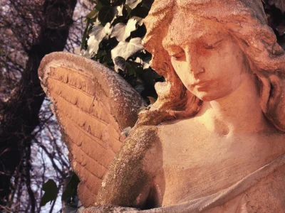 Spoken by Angels