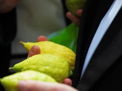 Sukkot and the Festival of the Nations