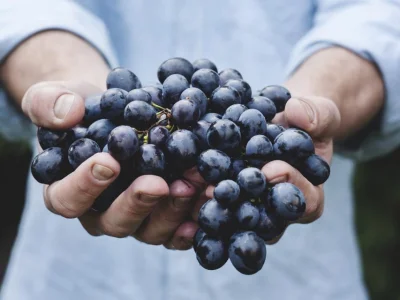 Water to Wine at Cana