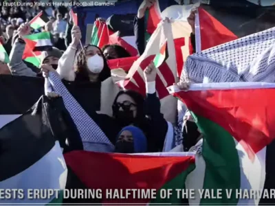 Strange Bedfellows: The Secular Left and the Muslim Right