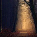 Introduction to Mussar